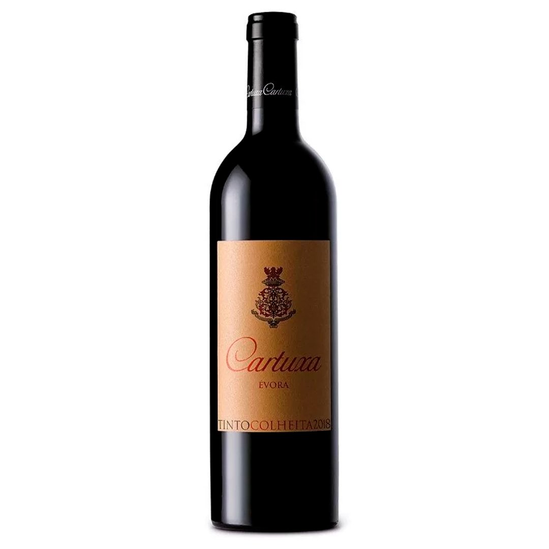 espumante freixenet 0 0 sem alcool 750ml
