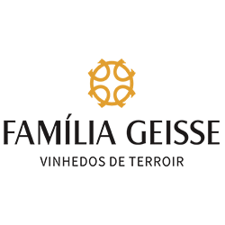 banner familia geisse
